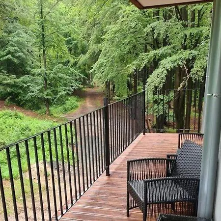 Large, Family With A View Of The Forest, Szklarska Por Ba Apartment *