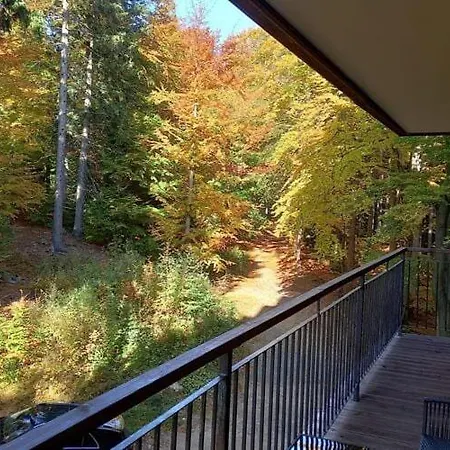 Large, Family With A View Of The Forest, Szklarska Por Ba Apartment *